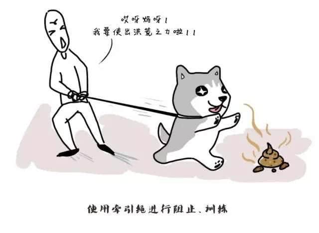 怎样改变狗吃屎的习惯