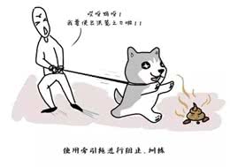 怎样改变狗吃屎的习惯