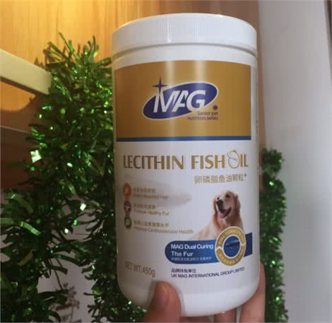 解疑，狗狗一梳毛就跑是怎么回事?