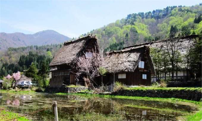 猛犬在身边也挡不住它们，爷爷口述我整理，我们村老猎人遇到的事