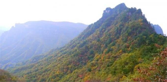 猛犬在身边也挡不住它们，爷爷口述我整理，我们村老猎人遇到的事