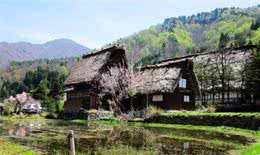 猛犬在身边也挡不住它们，爷爷口述我整理，我们村老猎人遇到的事