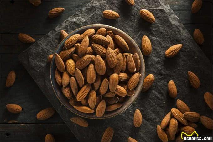 杏仁能成为狗狗的零食吗?狗狗会因为杏仁而中毒吗?怎样吃才对?