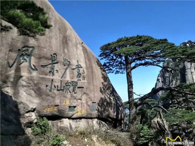 狗狗为什么老流泪，这是怎么回事!铲屎官，你知道吗!