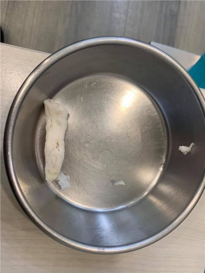 橘猫吃下纸巾干呕白泡，呼吸困难，花半年伙食费才救回来