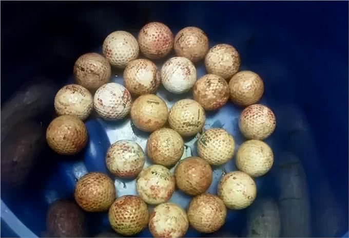 狗狗这个常见病，其实就是吃出来的