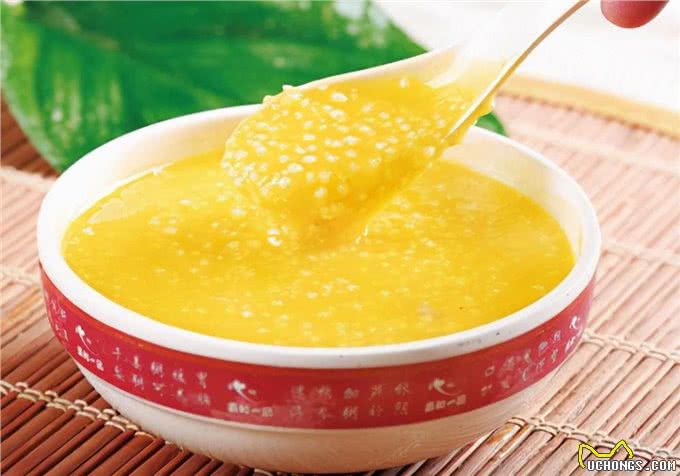 养宠经验:狗狗呕吐怎么治疗?导致呕吐的原因及应采取的措施参考