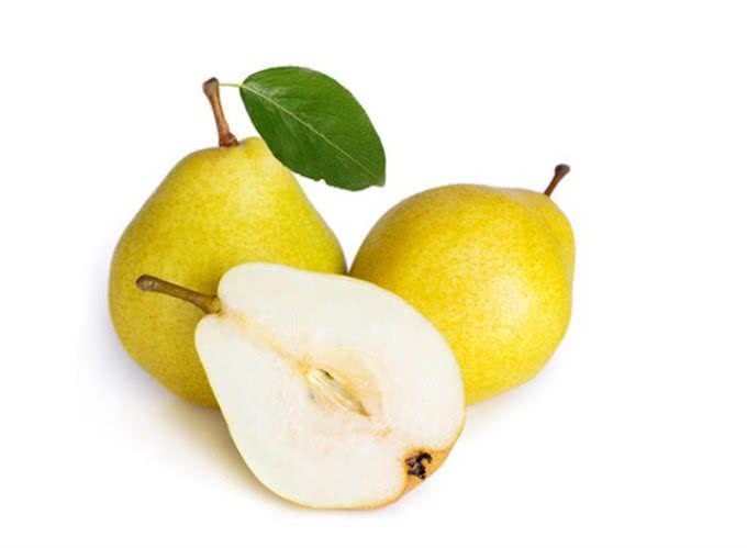 比熊犬有泪痕可以多吃这几种食物，有效去除泪痕