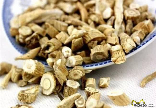 比熊犬有泪痕可以多吃这几种食物，有效去除泪痕