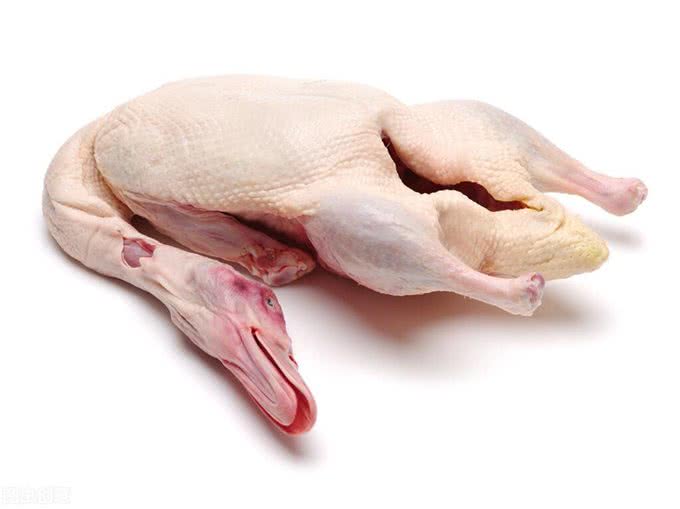 比熊犬有泪痕可以多吃这几种食物，有效去除泪痕