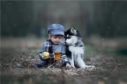 如何判断宠物狗鼻子很干燥