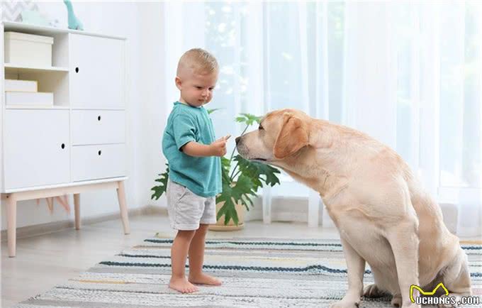 怎么训练狗狗定点尿尿，狗狗不能惯