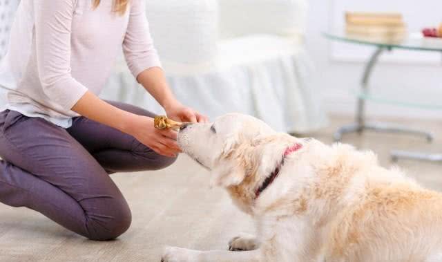 怎么训练狗狗定点尿尿，狗狗不能惯