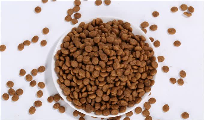 狗狗吃什么狗粮最好?专家教你挑选狗粮的小妙招