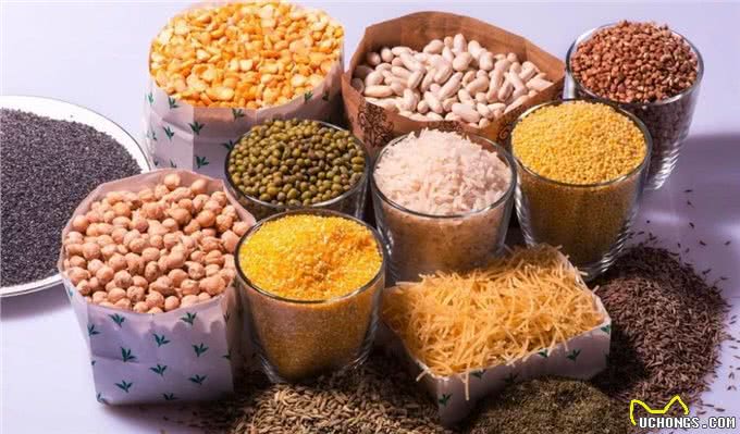 狗狗吃什么狗粮最好?专家教你挑选狗粮的小妙招