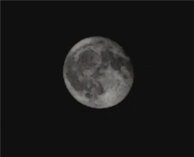 喂养宠物是一项需要科学和细心的工作