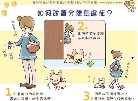 警惕!你的狗狗可能是患了分离焦虑症，找到问题根源避免狗狗焦虑