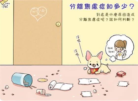 警惕!你的狗狗可能是患了分离焦虑症，找到问题根源避免狗狗焦虑