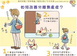 警惕!你的狗狗可能是患了分离焦虑症，找到问题根源避免狗狗焦虑