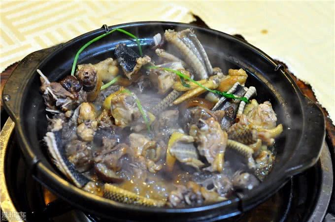 躲过中国人的筷子却没躲过越南人的屠刀!揭秘越南人为何爱吃猫