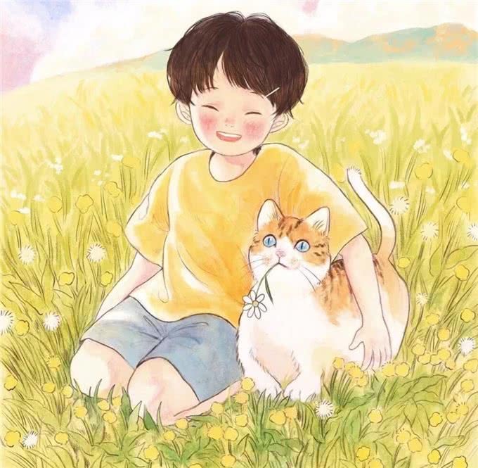 养纯种猫还是混血猫?