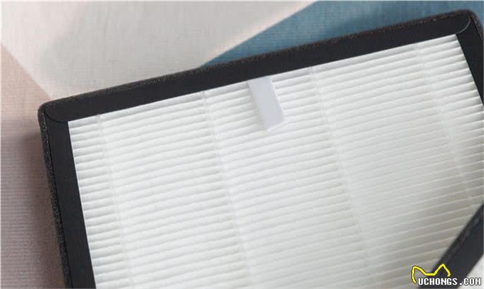 养狗一年积累的经验，做到这3点能解决好多麻烦，狗狗又乖又健康