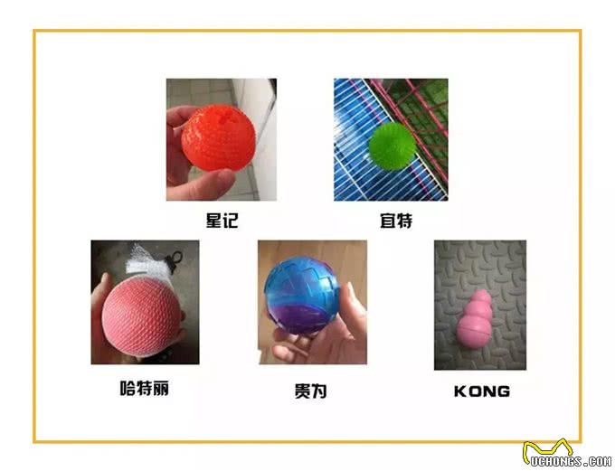 猫狗玩具大比拼，哪个能让你家的主子欲罢不能?