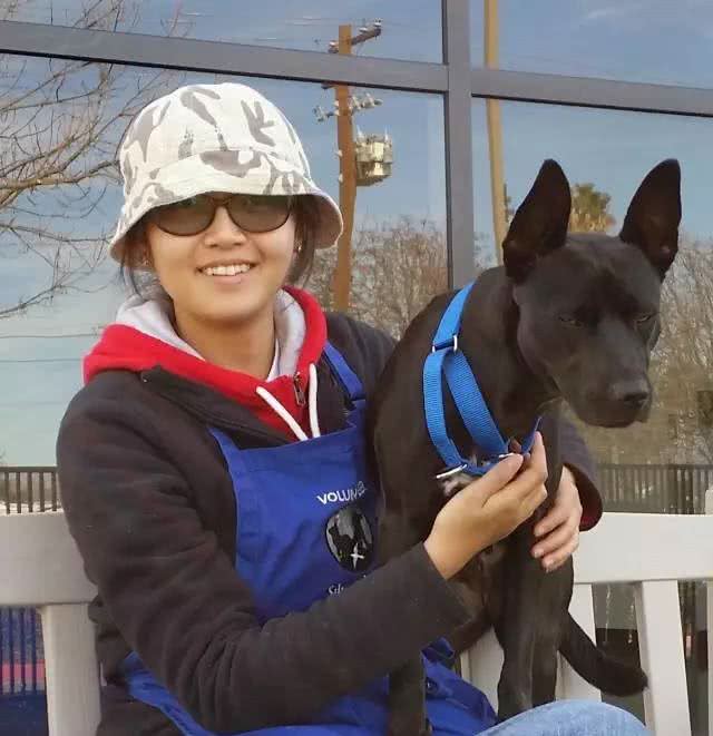 训犬真的很简单，您需要做的就是给狗狗好吃的食物和表扬就可以