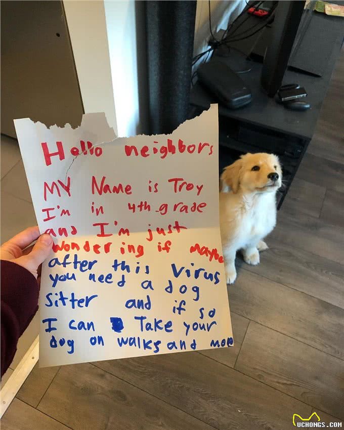 小狗到家一个月，竟然收到小男生的情书:我可以免费帮你遛狗