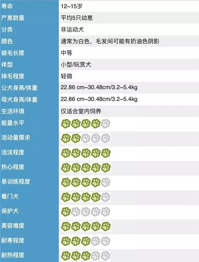 终于不是我好方了:比熊，比圆更圆