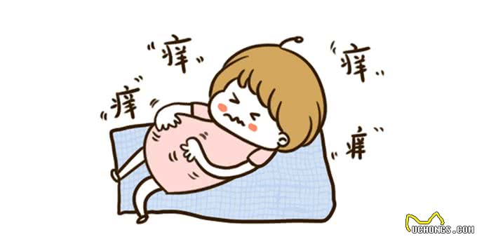 家里养猫狗一定要注意，高发寄生虫疾病，别不在意后果很严重!