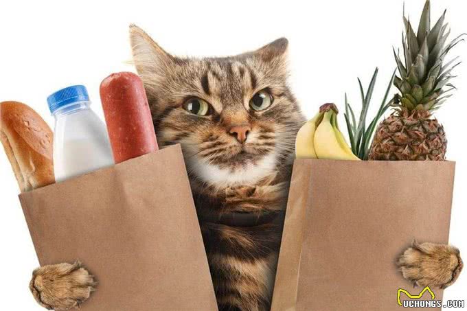 俗话说猫吃鱼狗吃肉猫吃鱼真的好吗?
