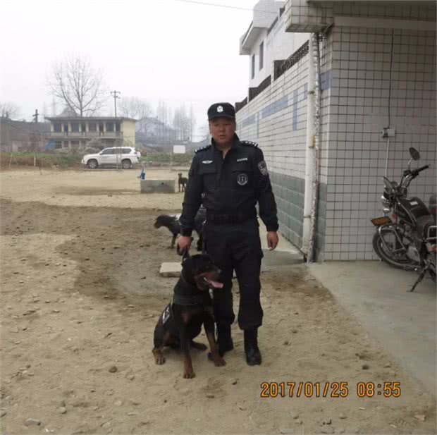 特殊的狗狗和它们的主人