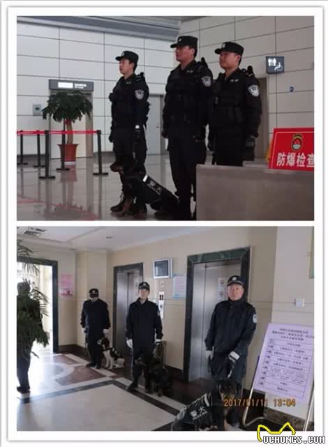 特殊的狗狗和它们的主人