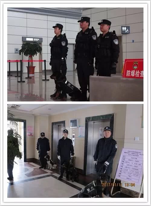 特殊的狗狗和它们的主人