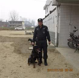 特殊的狗狗和它们的主人
