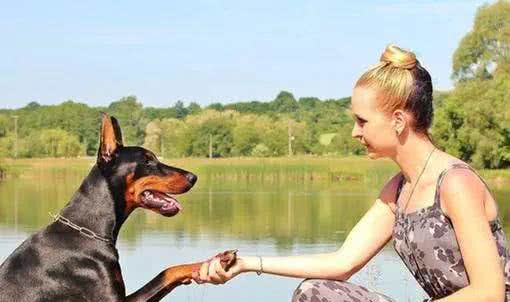 狗狗初识篇:犬种起源和不同犬种的进化用途