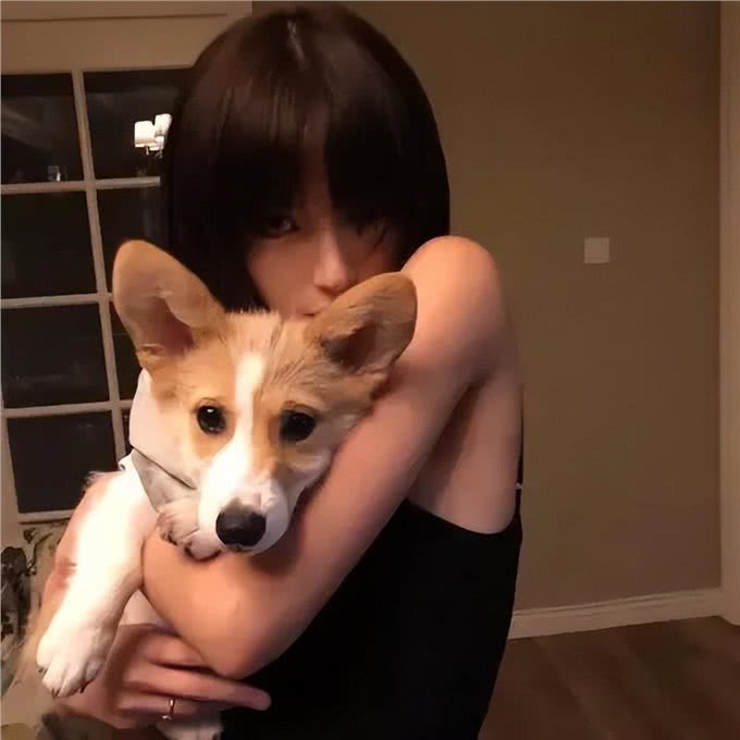 你以为狗狗愿意让你一直抱着?当你抱起它们时,它们在想什么?