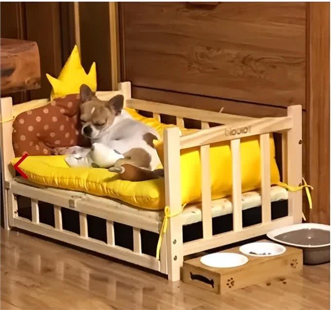 狗狗睡眠大揭秘!每晚它们究竟在哪安然入睡?背后原因让人笑喷!
