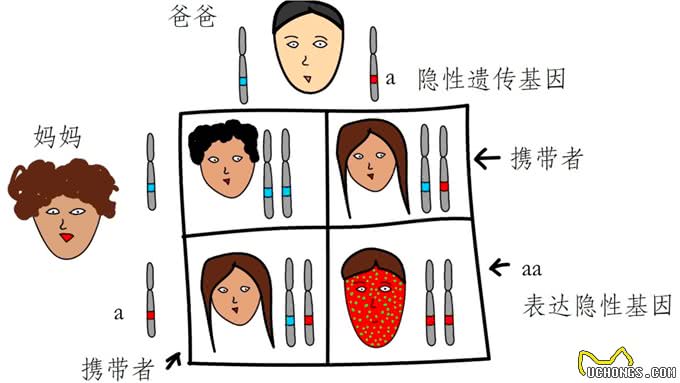 纯种狗的悲哀!人类的畸形审美，为何要宠物承担痛苦?