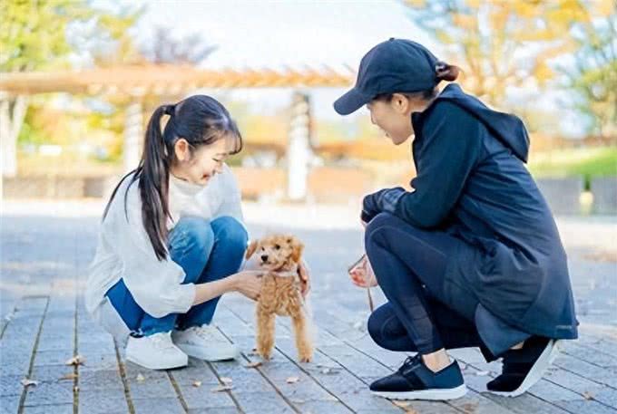 狗狗是如何区分主人和他人的?原来它们这么聪明!