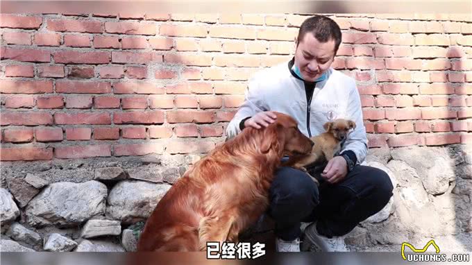 如何判断你的猫咪出现分离焦虑综合症的表现呢