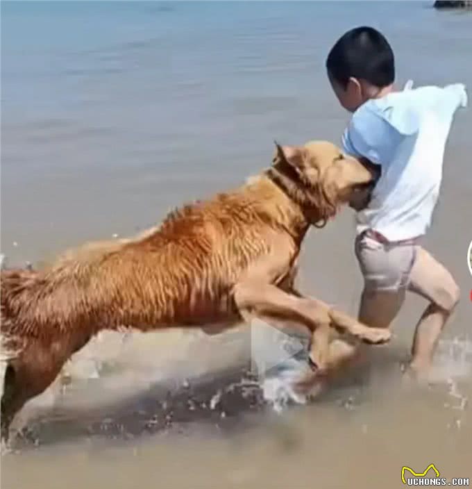 爱狗有道，不妨碍他人，不影响环境