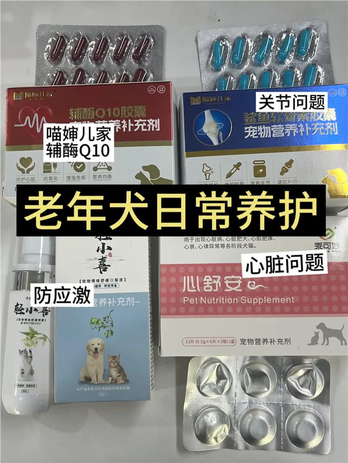 12岁老年狗的长期用药分享