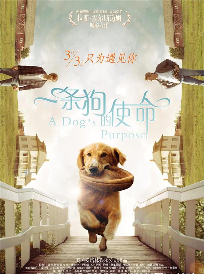 在中国文化里，狗不仅仅是动物，还有一个更深层次的隐喻
