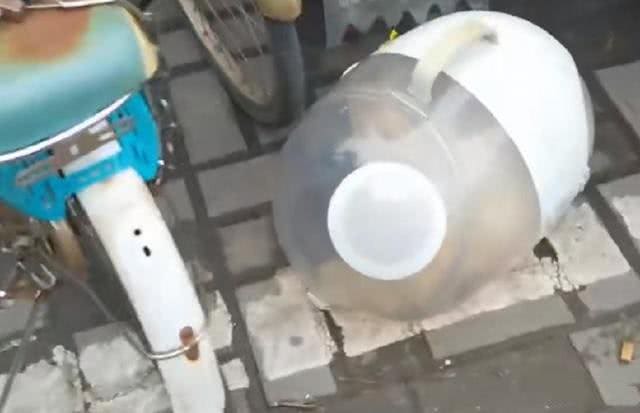 地铁口放着一只猫咪，看清长相后好奇:名贵加菲猫也有人丢?