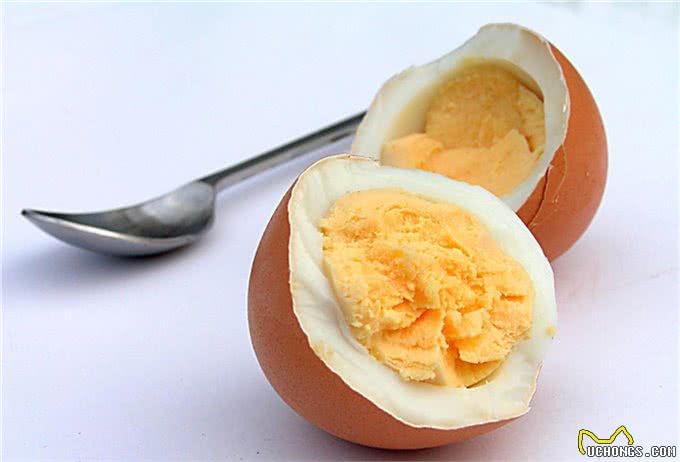 狗狗毛发不好怎么办?快试试这5个办法，绝对有效