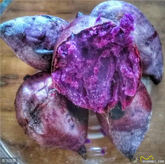 喂食这5种东西，狗狗便秘就好了，你要不要试试