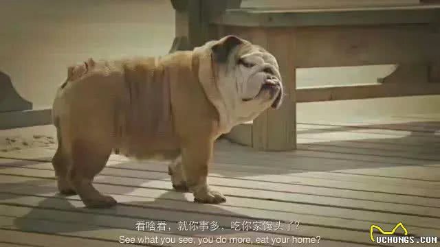养英斗怎么了，是花你家钱了，还是造你家大米了