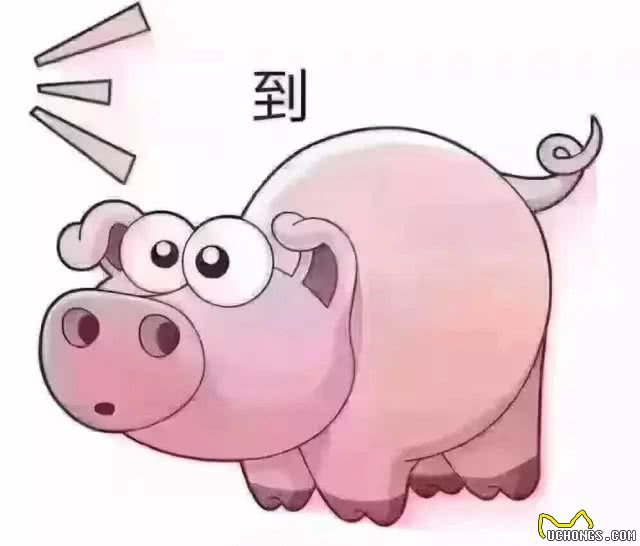 养英斗怎么了，是花你家钱了，还是造你家大米了